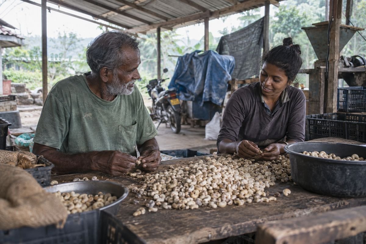 Premium Sri Lankan cashews in a wooden bowl beside a hessian sack