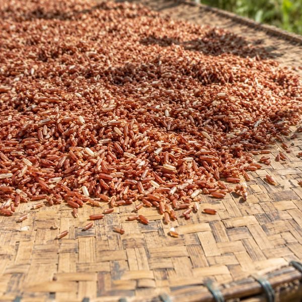 Traditional rice